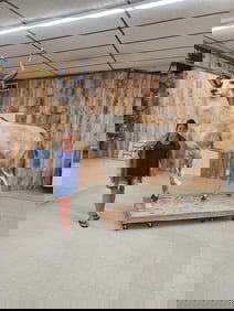 African Mountain Nyala Full Body Taxidermy Mount