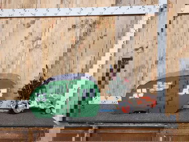 Cousin Eddy Visiting The Grizwalds For Christmas Squirrel Taxidermy