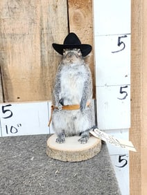 Sheriff Squirrel Taxidermy