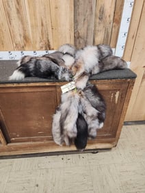 20 Jumbo Ranch Fox Tails Taxidermy