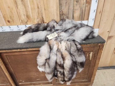 20 Jumbo Ranch Fox Tails Taxidermy