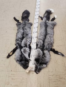 2 Soft Tanned Silver Ranch Fox Furs Taxidermy