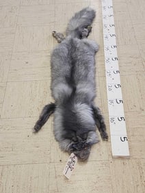 Soft Tanned Indigo Ranch Fox Fur