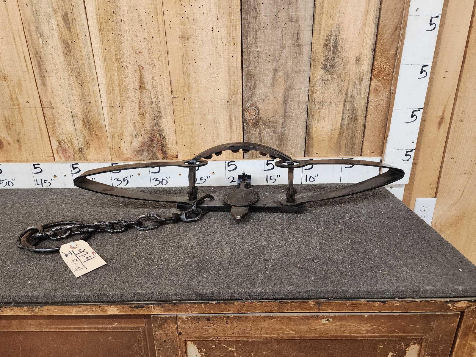 Newhouse Animal Trap Company #5 Bear Trap: 97.4 Crisp legible pan with teeth