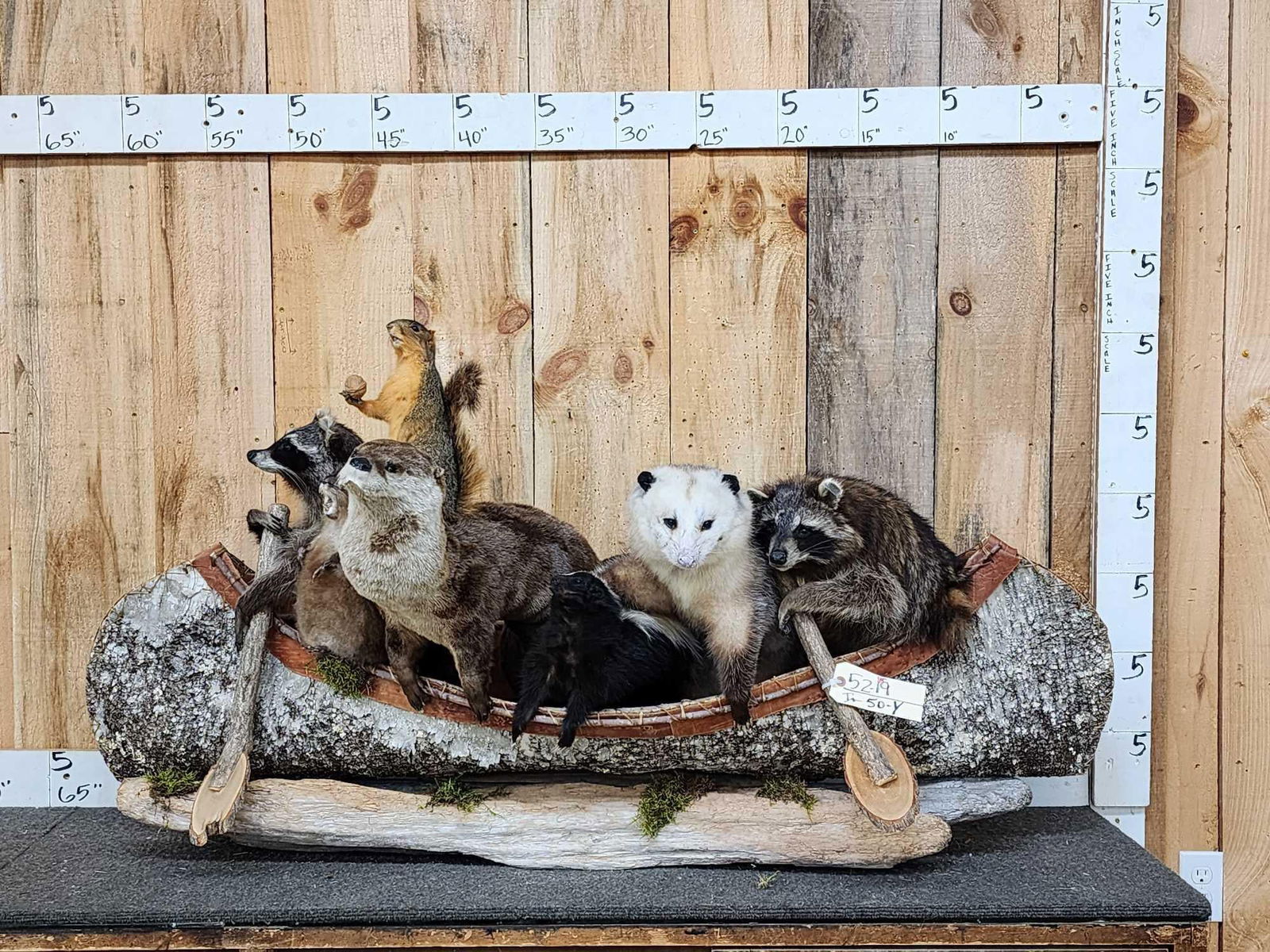 Noah's Ark 7 Critters In A Birch Bark Canoe Taxidermy (1 of 7)