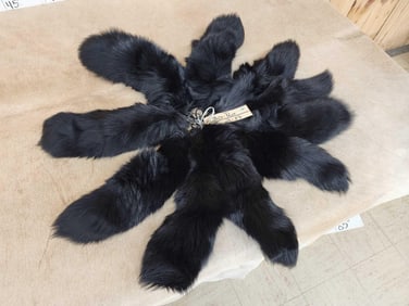 10 Dyed Fox Tails Key Chains Taxidermy