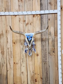 Texas Longhorn Steer Skull Taxidermy With Painting