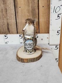 Naughty Squirrel Taxidermy Mount