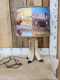 Deer Foot Lamp Taxidermy