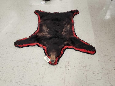 Black Bear Rug Taxidermy