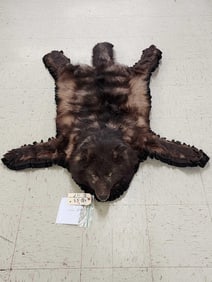 Juvenile Alaskan Wolf Rug Taxidermy