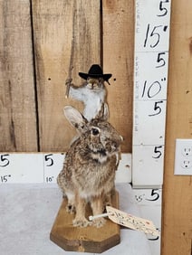 Cowboy Squirrel Riding A Rabbit Full Body Taxidermy Mount