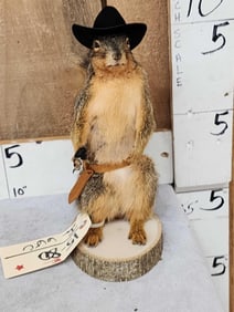 Sheriff Squirrel Taxidermy Mount