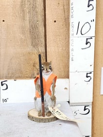 Hunting Squirrel Taxidermy Mount