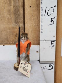 Hunting Squirrel Taxidermy
