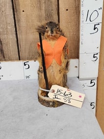 Hunting Squirrel Taxidermy Mount