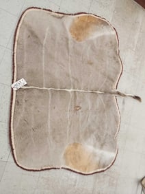 African Kudu Rug Taxidermy