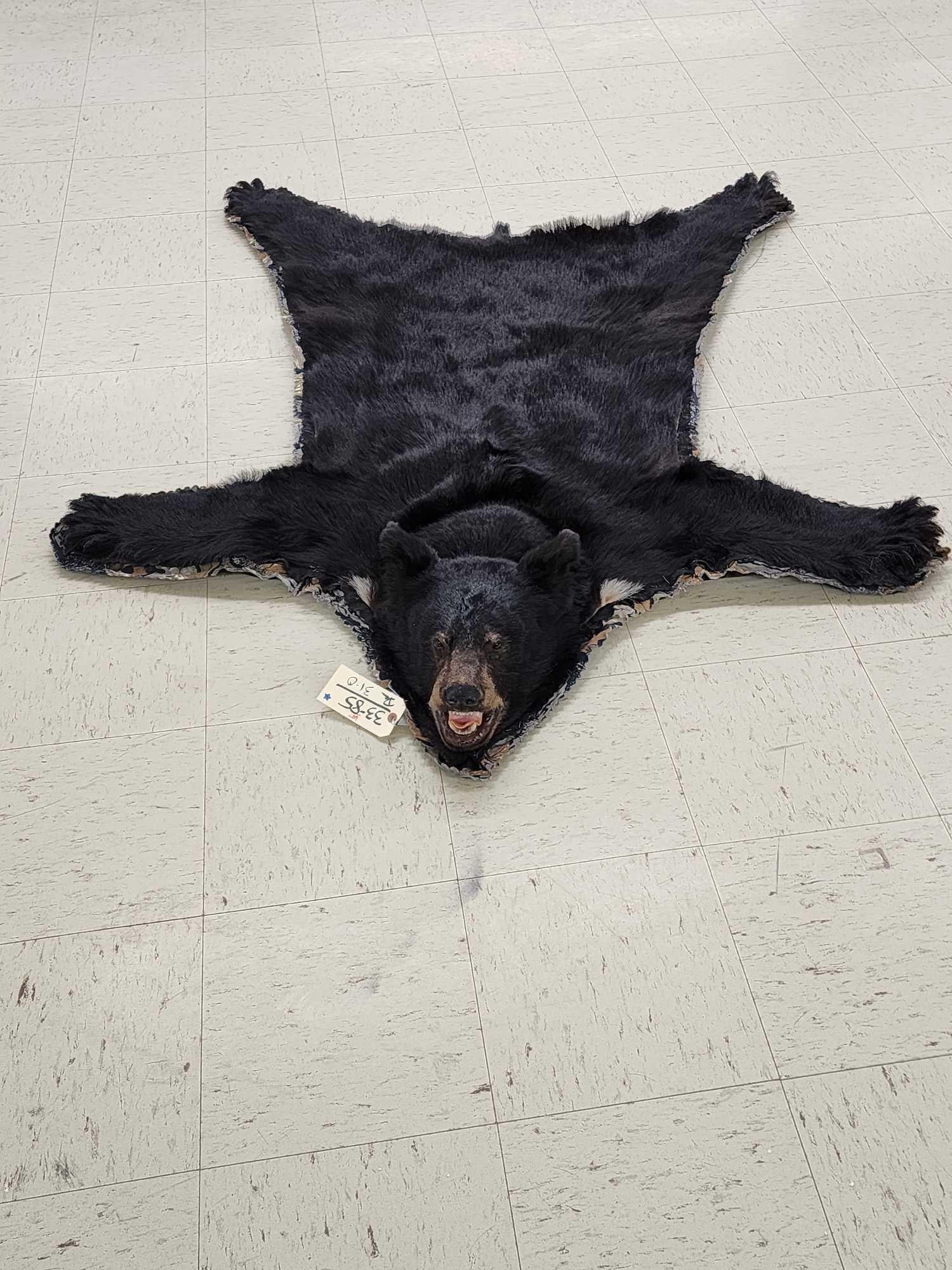 Black Bear Rug Taxidermy: 33.85 Cool piece with cammo edges good facial features claws intact about 69" long x 53" wide great for smaller spaces