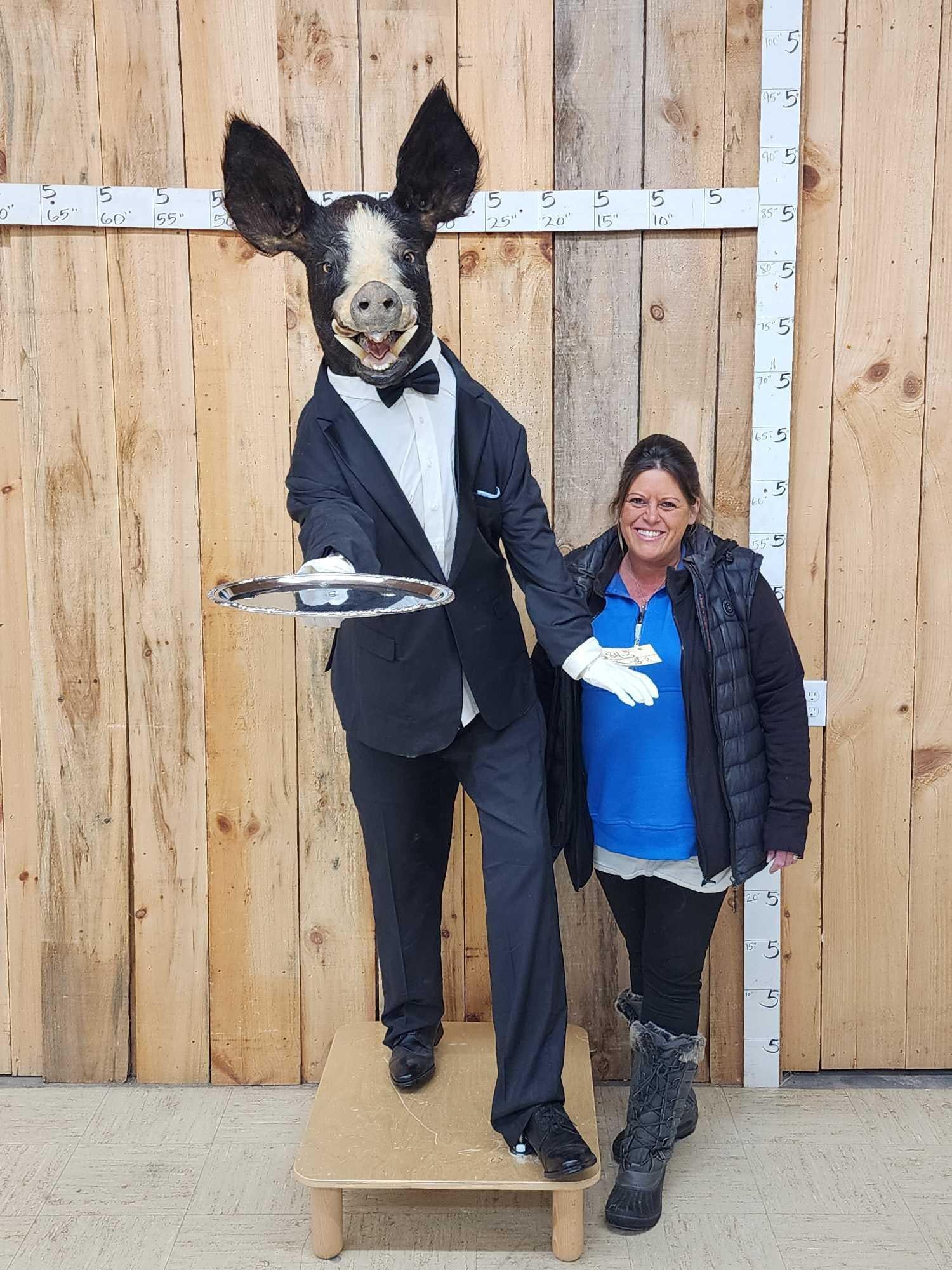 Meet Jeeves The Butler Boar Taxidermy (1 of 4)