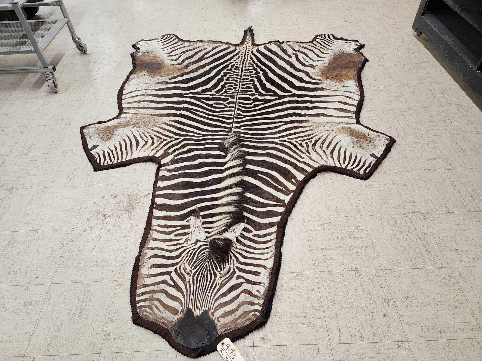 Big Vintage Zebra Rug Taxidermy (1 of 5)