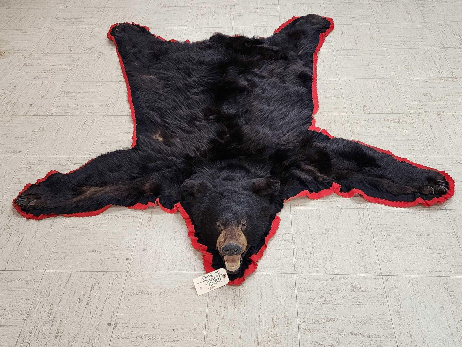 Vintage Alaskan Bkack Bear Rug Taxidermy (1 of 10)