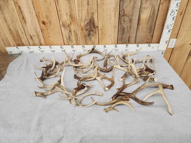 18 Lbs Of Whitetail Antlers