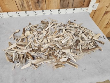 22 Lbs Of Elk Antler Chunks