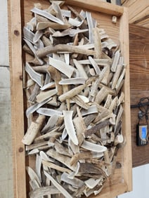 29.6 Lbs Of Elk Antler Chunks & Slices