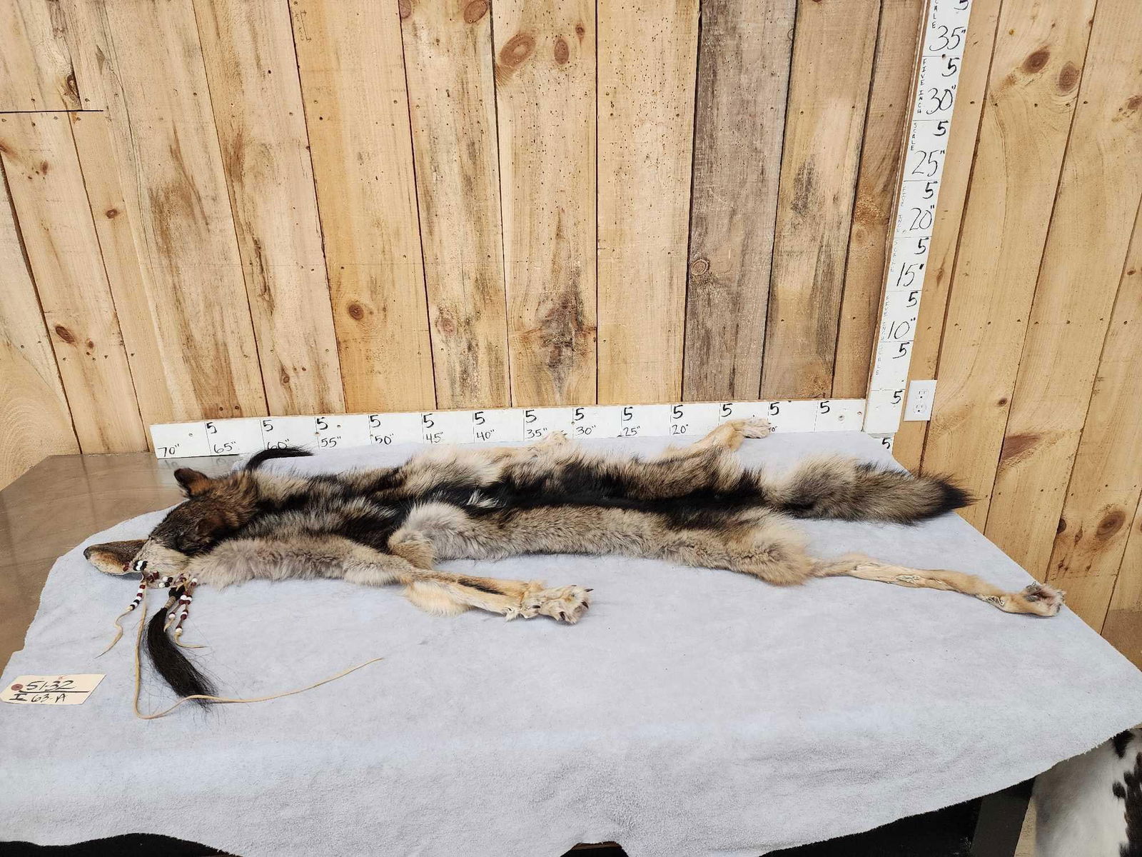 Native American Decorated Alaskan Wolf Fut Taxidermy (1 of 6)