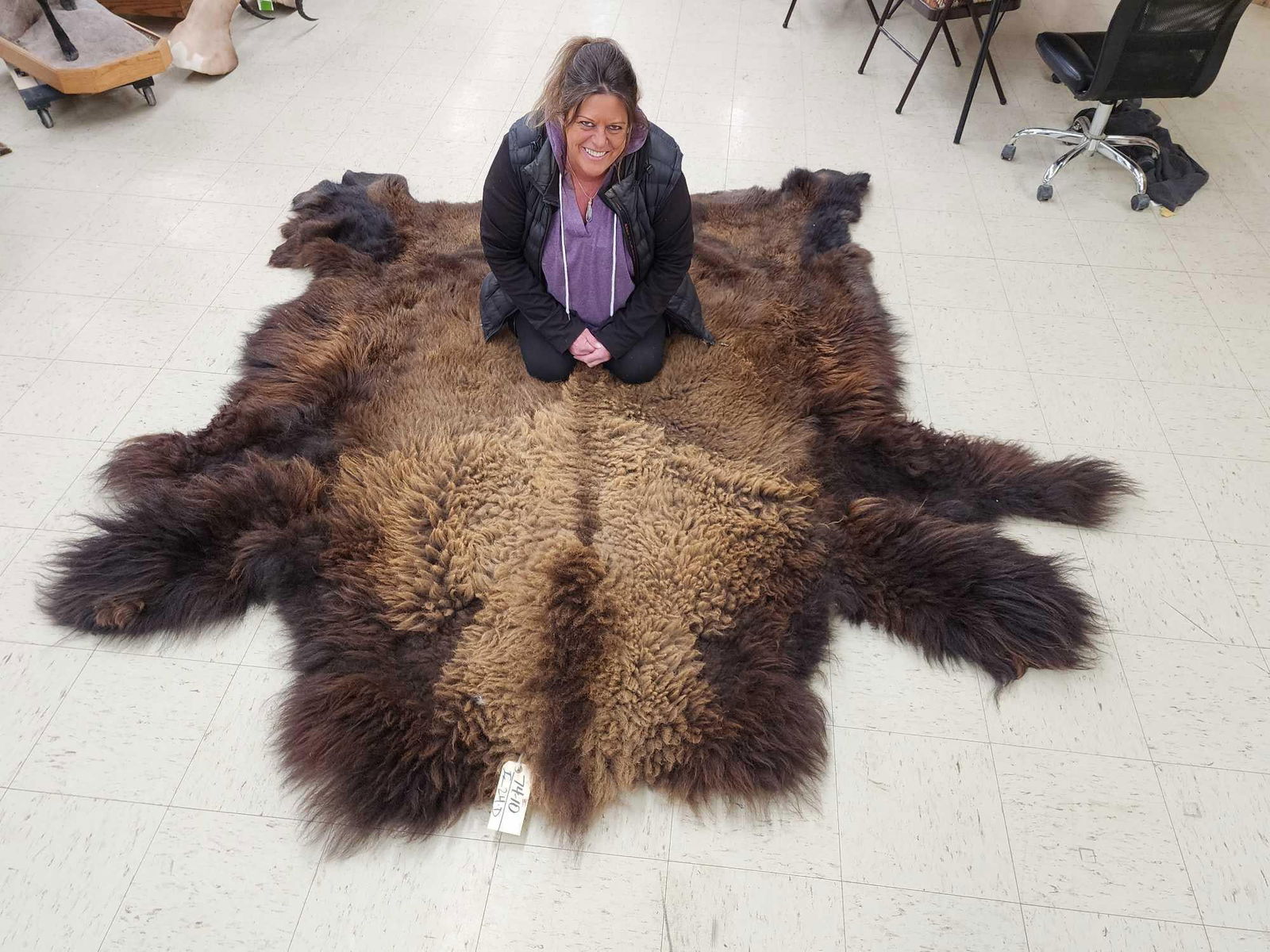 Outstanding American Bison Buffalo Soft Tanned Robe Taxidermy (1 of 9)