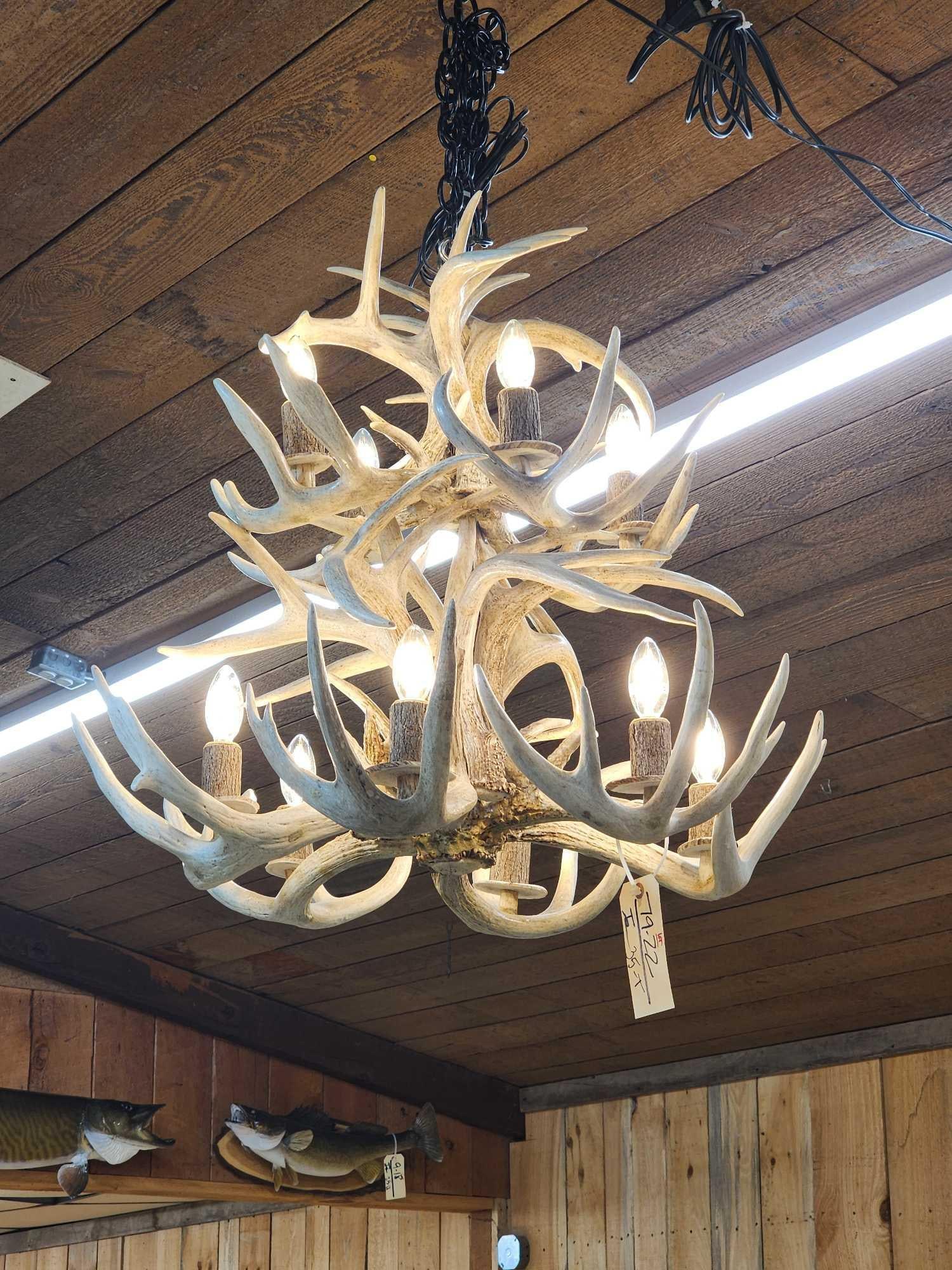 Gorgeous Antler Chandelier (1 of 7)