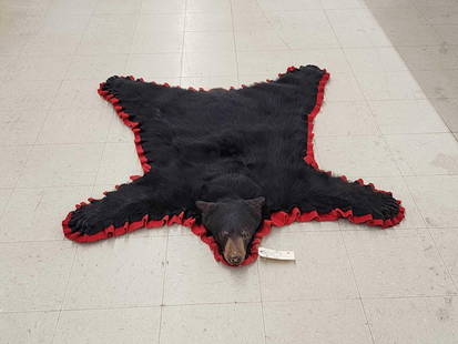 Black Bear Rug Taxidermy: 22.9 Thick prime fur claws intact Gathered felt edges great accent piece for smaller spaces about 56" long x 48" wide