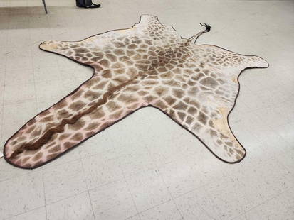 Big Giraffe Rug Taxidermy: 61.42 Cool looking rug durable backing with rings for hanging overall dimensions about 178" long x 124" wide