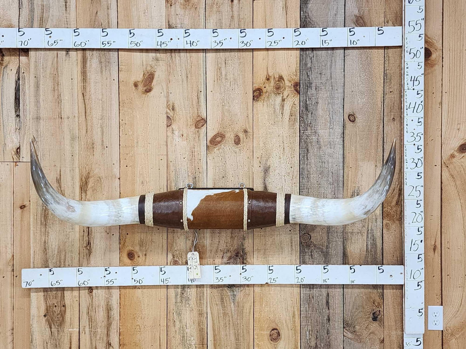 Mounted Texas Longhorns Taxidermy: 36.15 Great look 56" tip to tip horn spread Brand new piece