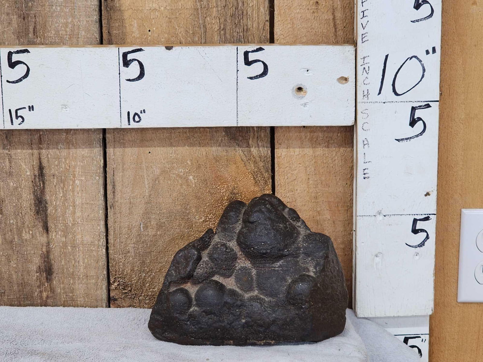 Corprolite Fossil: 100.22 Fossilized Dinosaur poop 10.4 lbs