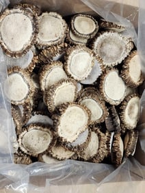 50 Lbs Of Elk Shed Antler Burrs