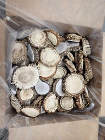 50 Lbs Of Grade A Elk Shed Antler Burrs