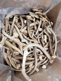 50 Lbs Of Deer Antler Spikes