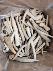 50 Lbs Of Grade A Elk Antler Tips
