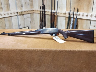 Remington Nylon 66 .22 Semi Auto Rifle