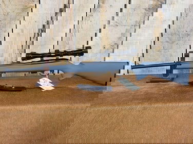 Remington Model 597 .22 Semi Auto Rifle