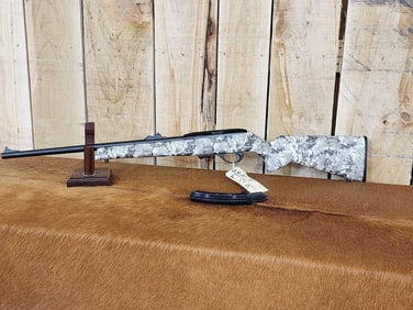 Remington Model 597 .22 Semi Auto Rifle