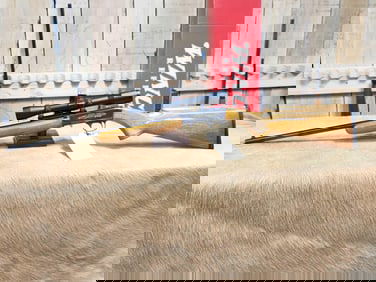Browning SA22 .22 Semi Auto Rifle Belgium Made