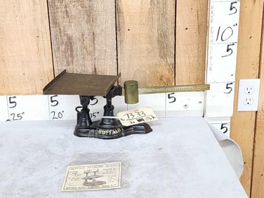 Buffalo Standard Counter Top Scale