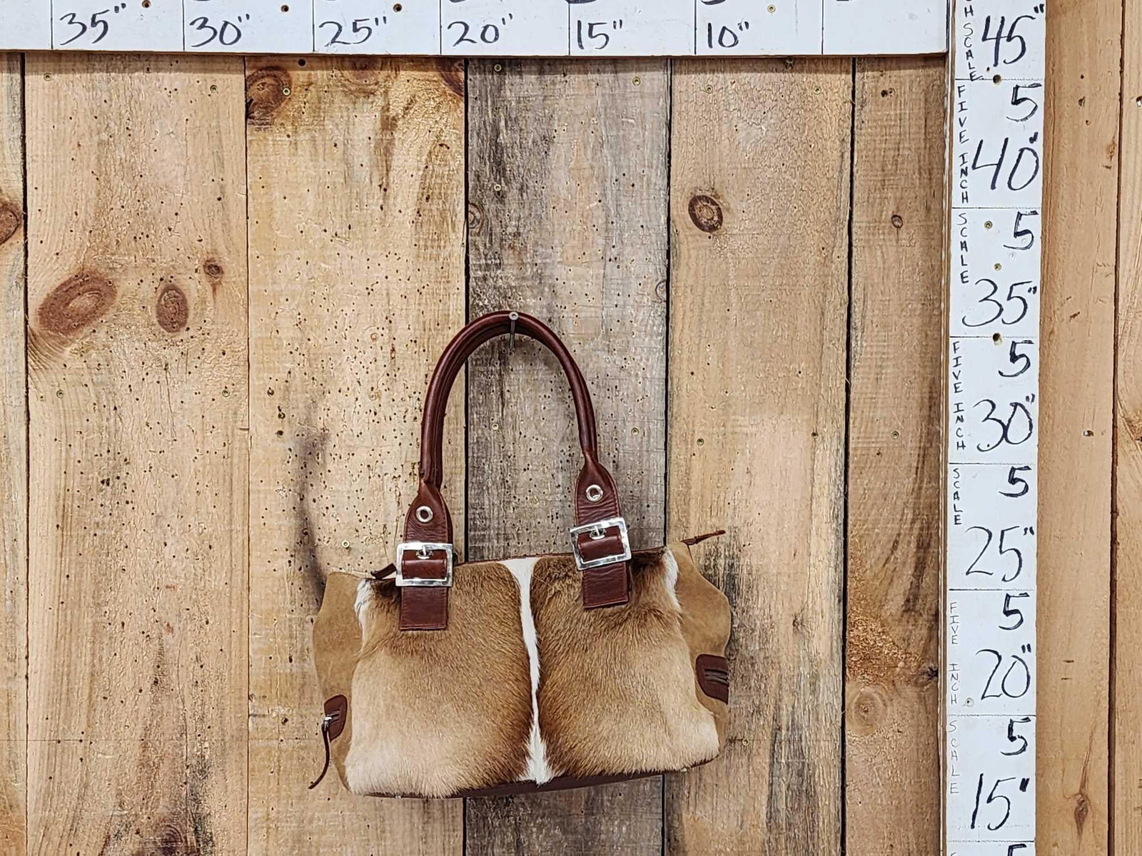 African Springbok Skin Ladies Purse Taxidermy: 76.58 Professionally made quite unique