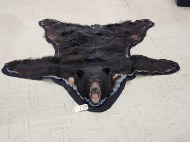 Black Bear Rug Taxidermy