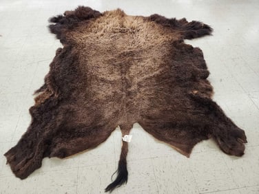 Giant American Bison Buffalo Soft Tanned Robe Taxidermy