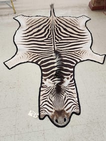 Zebra Rug Taxidermy
