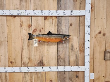 28" Arctic Char Real Skin Fish Taxidermy
