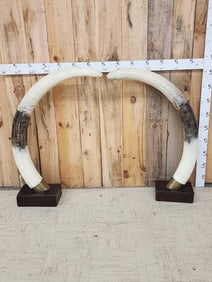 Pair Of Reproduction Elephant Tusks Taxidermy